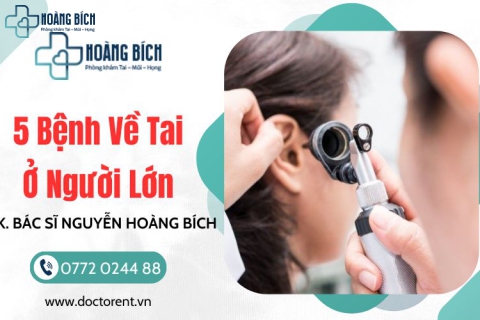 5 Bệnh Về Tai Ở Người Lớn: Đừng Chủ Quan Với Thính Lực